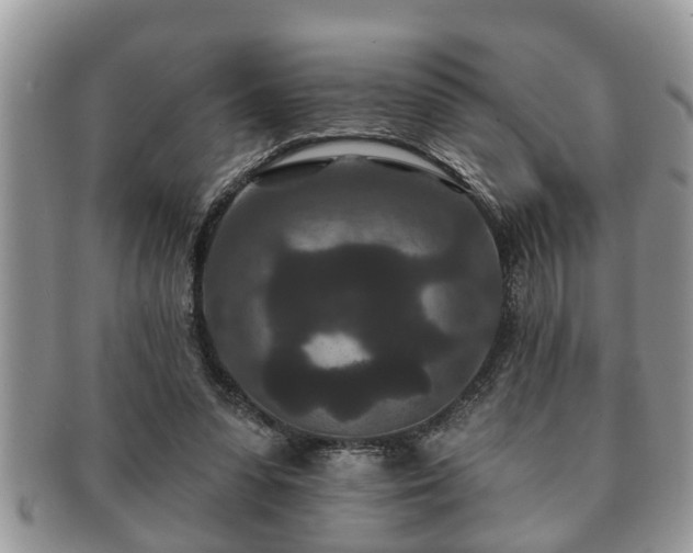 X0000091170303200708161504