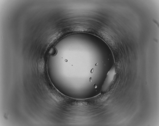 X0000091170304200708161504