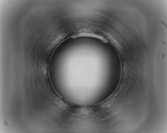 X0000091170305200708161504