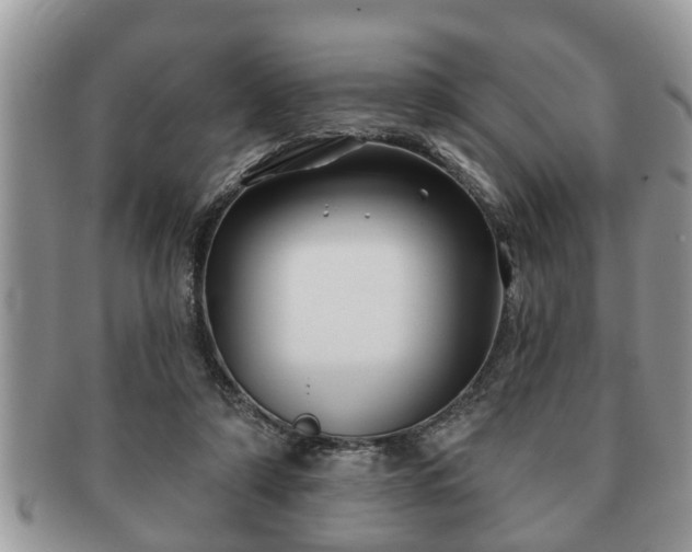 X0000091170306200708161504