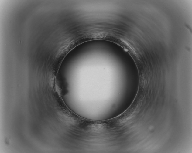 X0000091170307200708161504