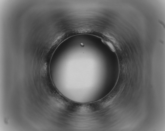 X0000091170308200708161504