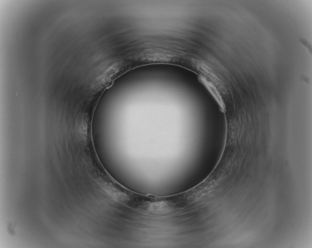 X0000091170309200708161504