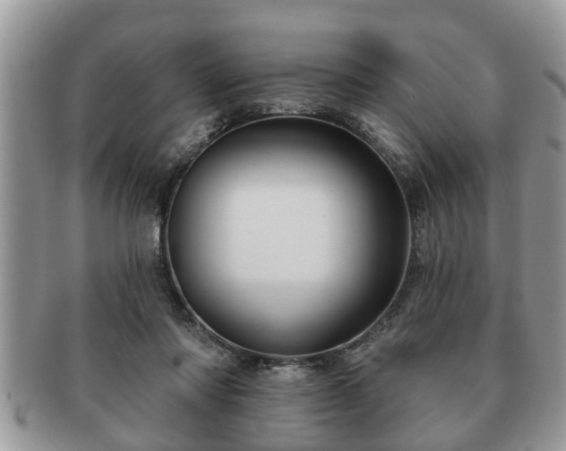 X0000091170310200708161504