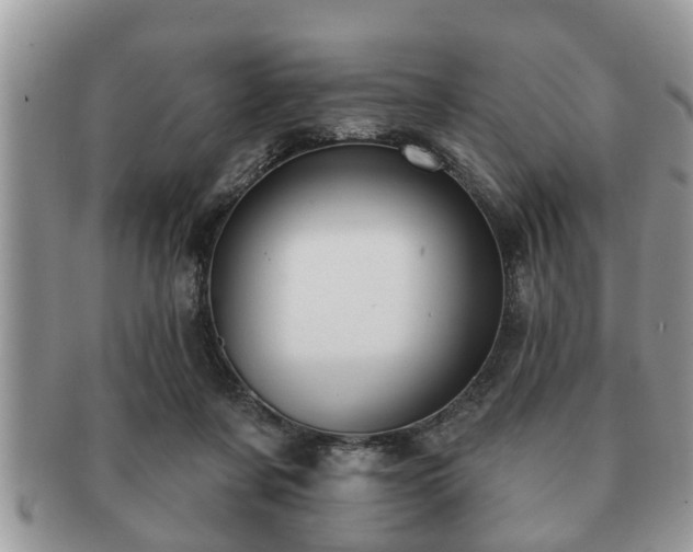 X0000091170311200708161504