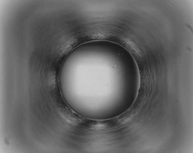 X0000091170312200708161504