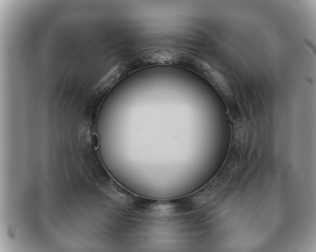 X0000091170313200708161504