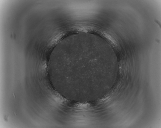 X0000091170314200708161504