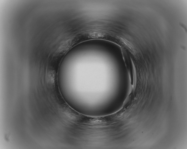 X0000091170315200708161504