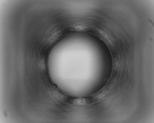 X0000091170317200708161504