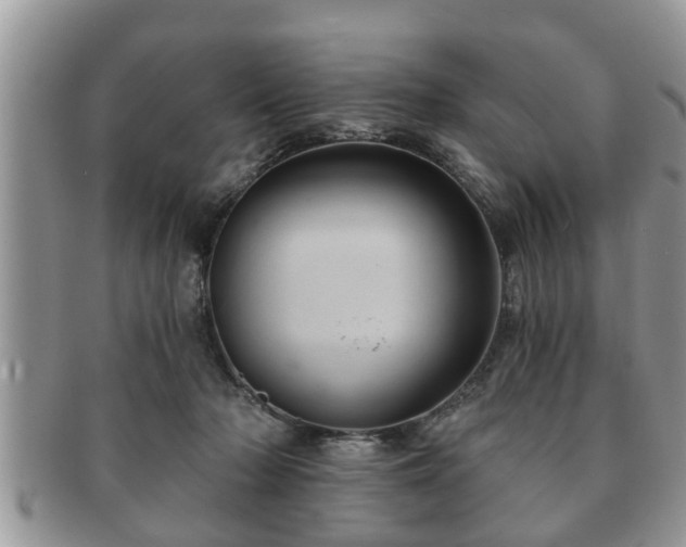 X0000091170318200708161504