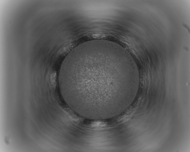 X0000091170319200708161504