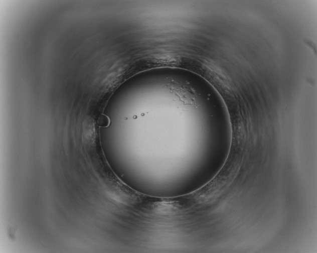 X0000091170320200708161503