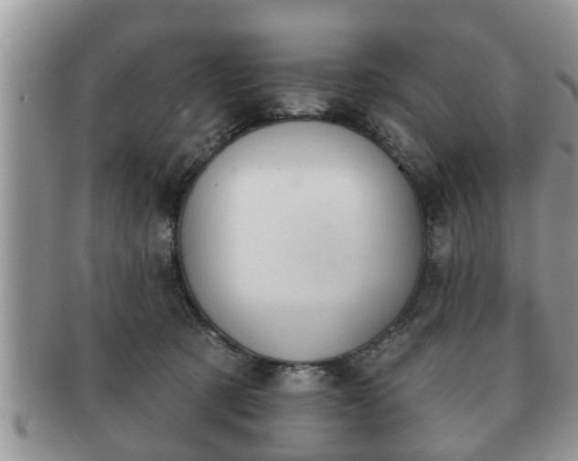 X0000091170321200708161503