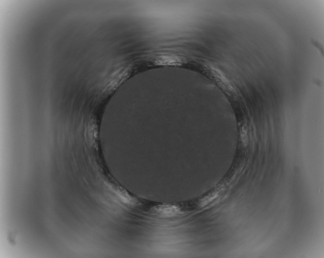 X0000091170322200708161503