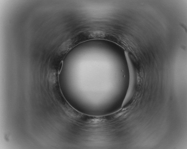 X0000091170323200708161503