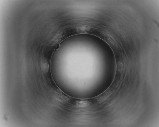 X0000091170324200708161503