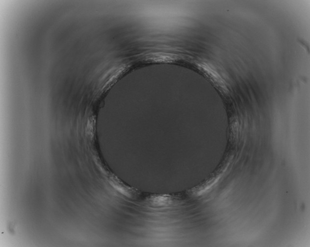 X0000091170325200708161503