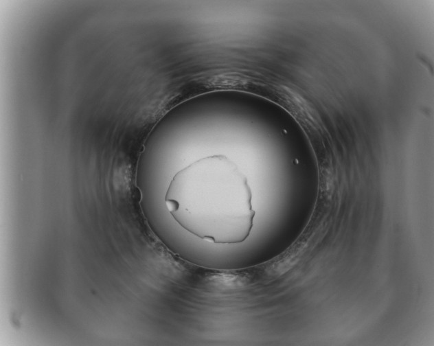 X0000091170326200708161503