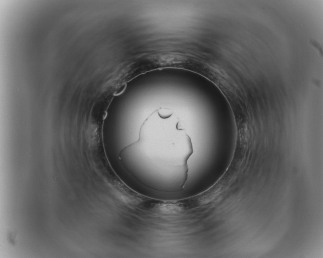 X0000091170327200708161503