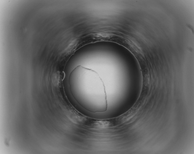 X0000091170328200708161503