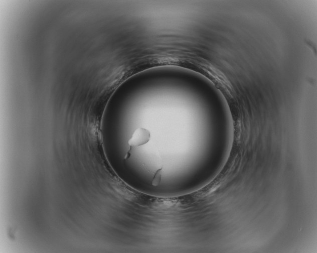 X0000091170329200708161503