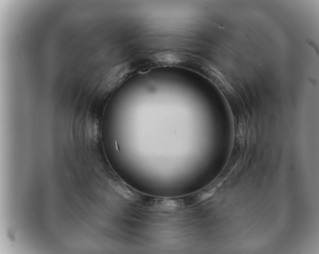 X0000091170330200708161503