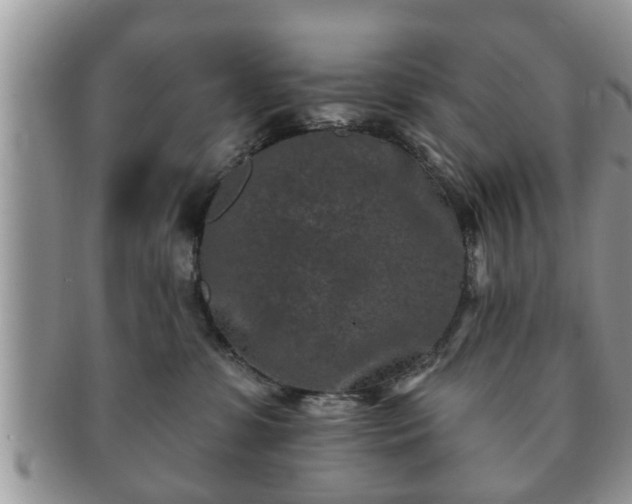 X0000091170331200708161503