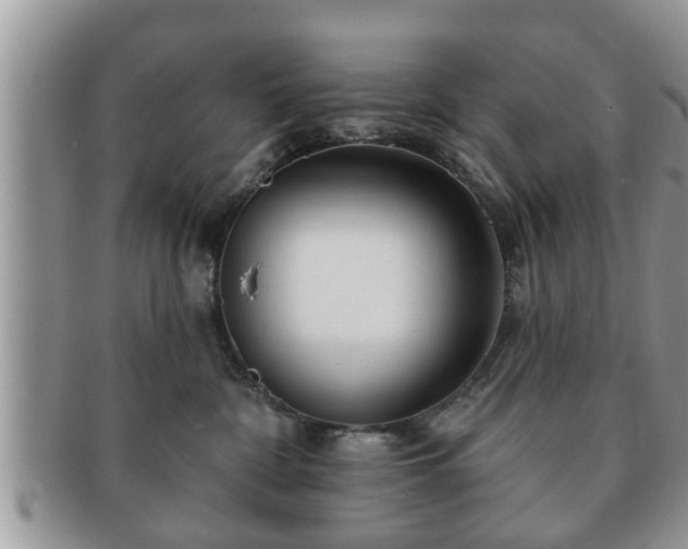 X0000091170332200708161503