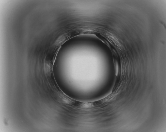 X0000091170333200708161503