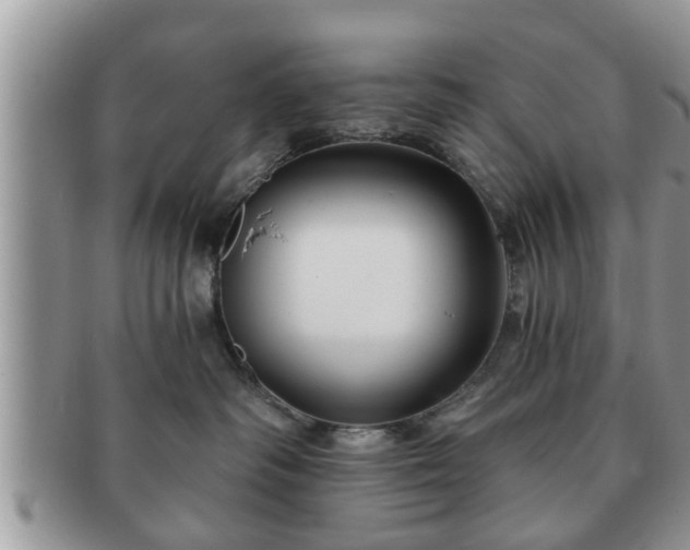 X0000091170334200708161503