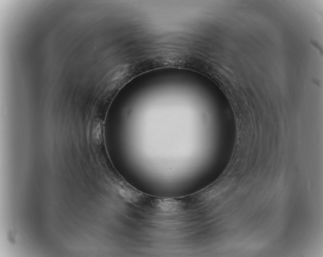 X0000091170336200708161503