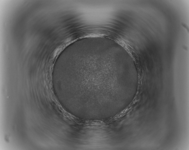 X0000091170337200708161503