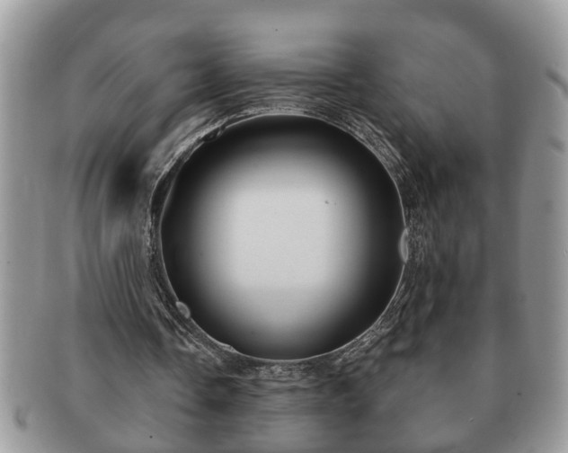 X0000091170338200708161503