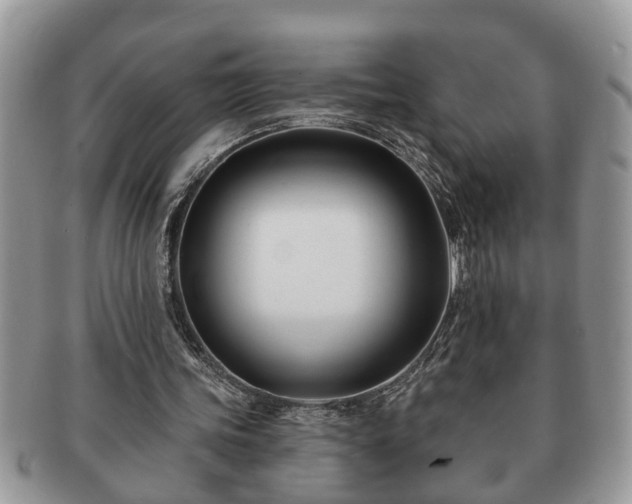 X0000091170339200708161503