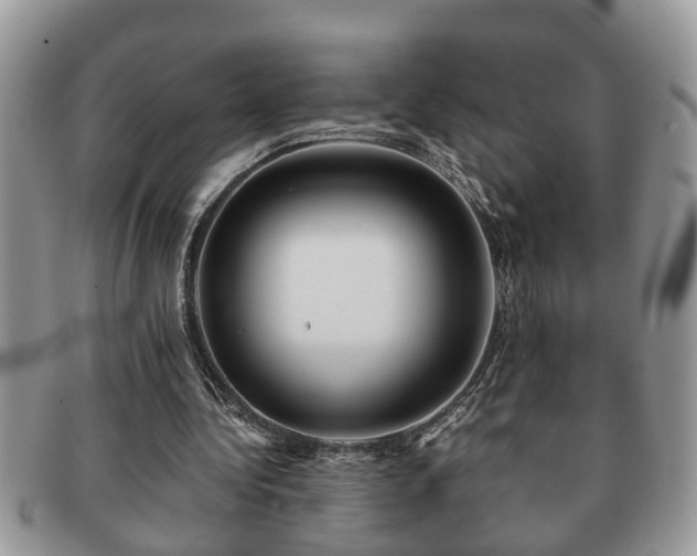 X0000091170340200708161503