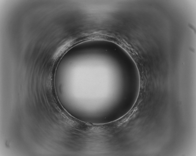 X0000091170341200708161503