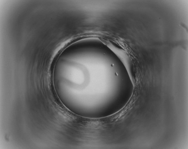 X0000091170342200708161503