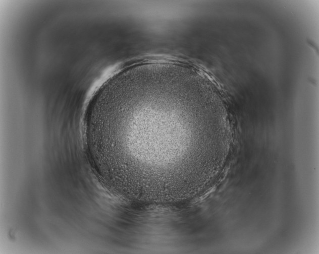 X0000091170343200708161503