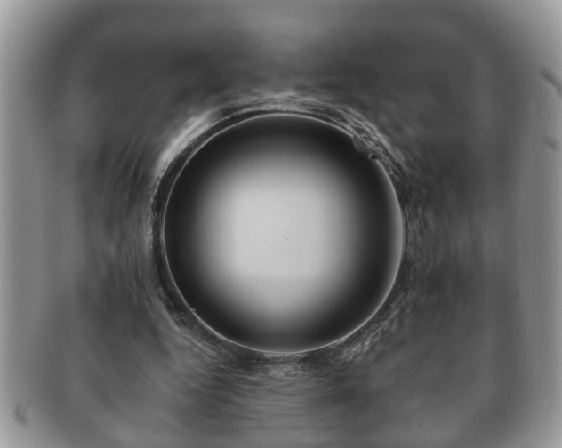 X0000091170344200708161503