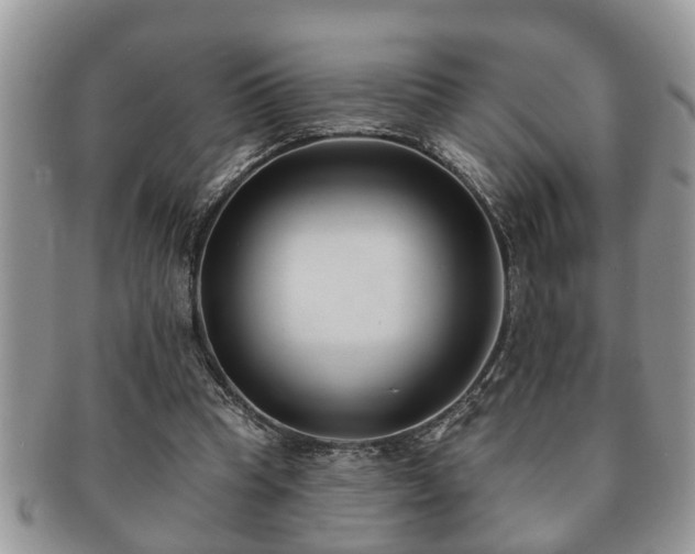 X0000091170345200708161503