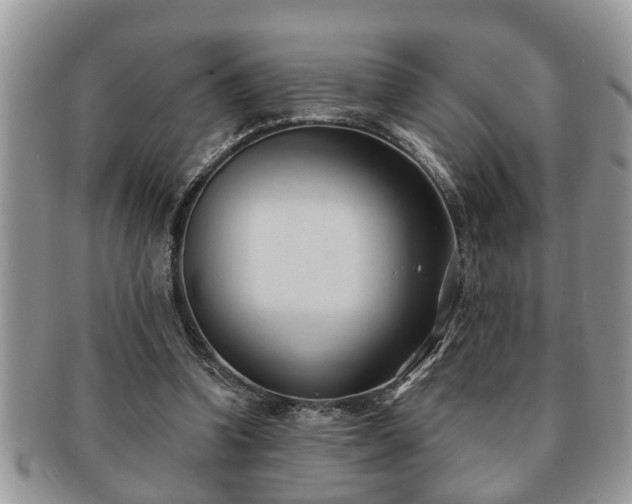 X0000091170346200708161503