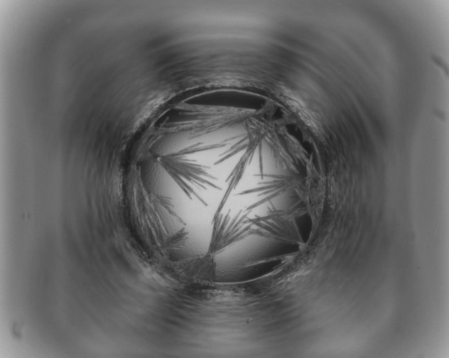 X0000091170347200708161503
