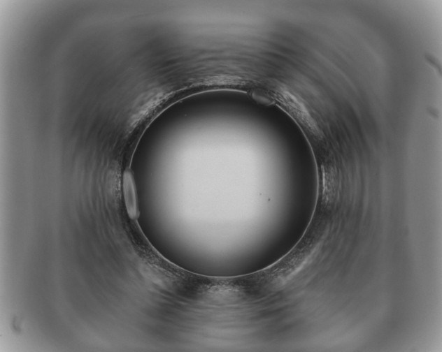 X0000091170348200708161503