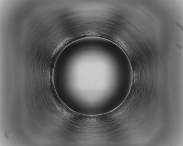 X0000091170349200708161503