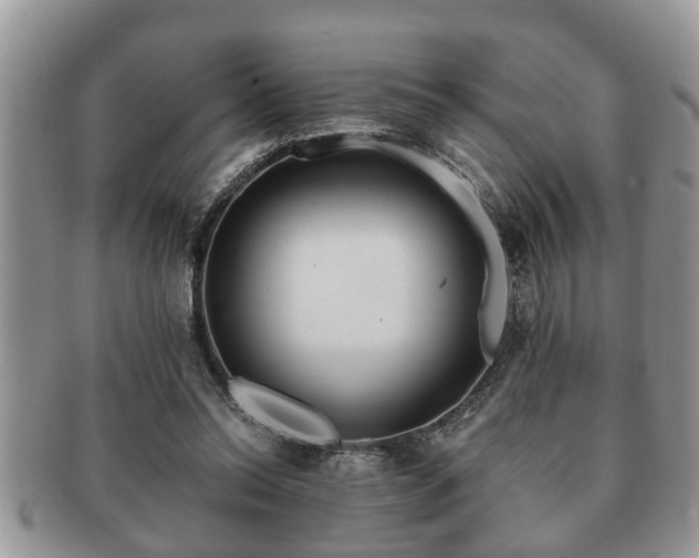 X0000091170350200708161503