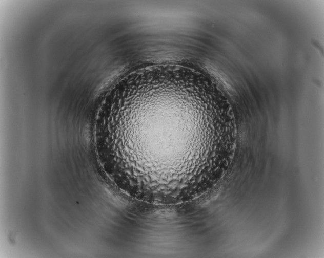 X0000091170353200708161503