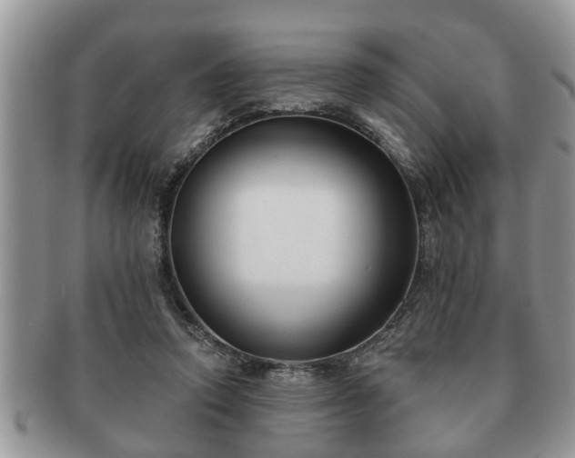 X0000091170354200708161503