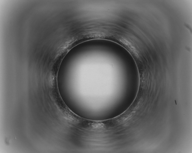 X0000091170355200708161503