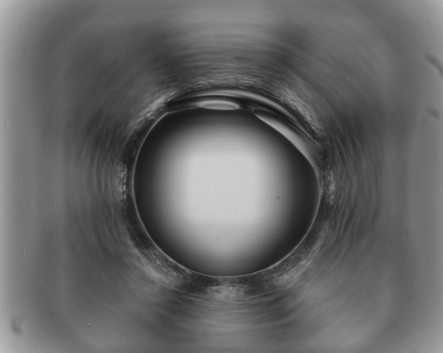 X0000091170356200708161503